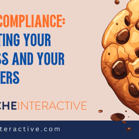 GDPR and cookie consent laws. how to be compliant and not have your website sued.